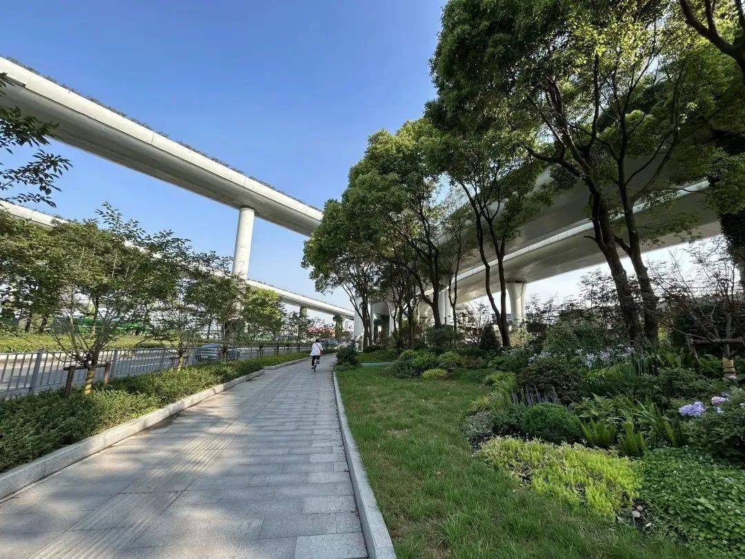 /zixunshili/zhuyaoyeji/gongchengzaojia1/yuanlin/2025-11-15/559.html